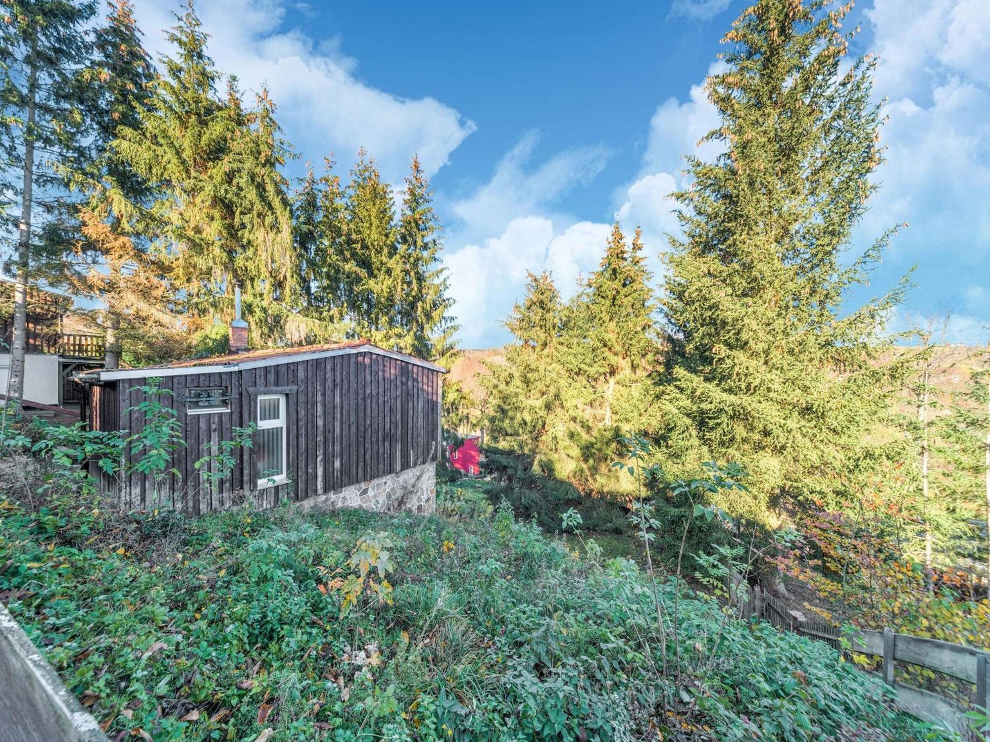 Comely Holiday Home In G Ntersberge Near Forest Güntersberge Eksteriør billede