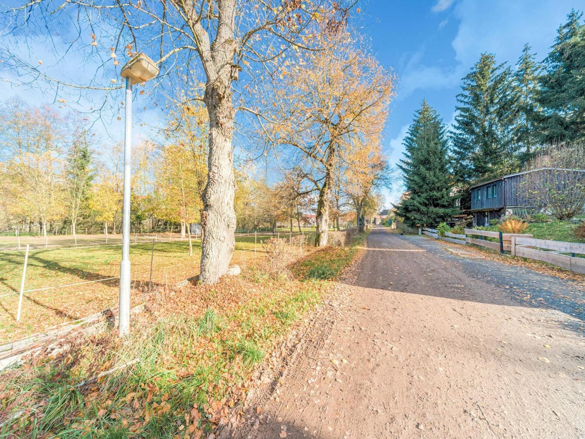 Comely Holiday Home In G Ntersberge Near Forest Güntersberge Eksteriør billede